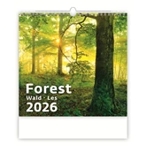Falinaptár képes 300 x 300 mm, fehér lapokkal Forest Dayliner 2026.
