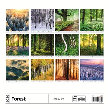 Falinaptár képes 300 x 300 mm, fehér lapokkal Forest Dayliner 2026.