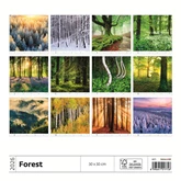 Falinaptár képes 300 x 300 mm, fehér lapokkal Forest Dayliner 2026.
