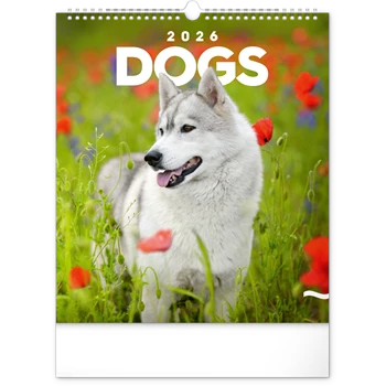 Falinaptár képes  300x340mm Dogs Realsystem 2026.