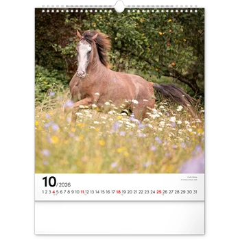 Falinaptár képes  300x340mm Horses Realsystem 2026.