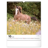 Falinaptár képes  300x340mm Horses Realsystem 2026.