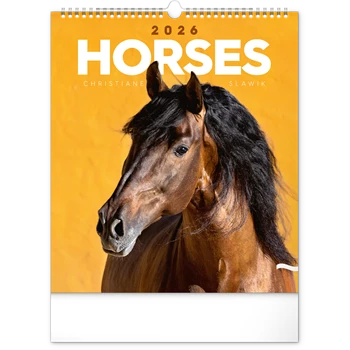 Falinaptár képes  300x340mm Horses Realsystem 2026.