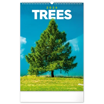 Falinaptár képes  330×460mm Trees  Realsystem 2026.