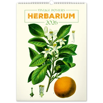 Falinaptár képes  330×460mm Vintage Posters-Herbarium Realsystem 2026.