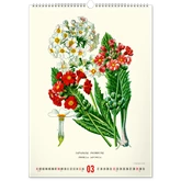 Falinaptár képes  330×460mm Vintage Posters-Herbarium Realsystem 2026.