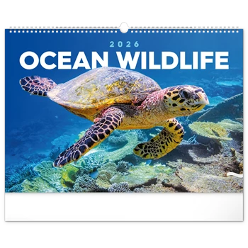 Falinaptár képes  480×330mm Ocean Wildlife Realsystem 2026.
