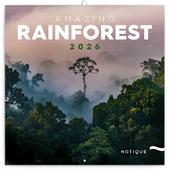 Falinaptár képes lemeznaptár 300x300mm, Amazing Rainforest Realsystem 2026.