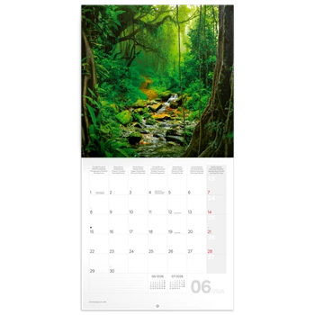 Falinaptár képes lemeznaptár 300x300mm, Amazing Rainforest Realsystem 2026.
