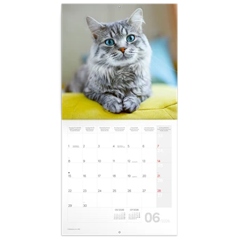 Falinaptár képes lemeznaptár 300x300mm, Cats Realsystem 2026.