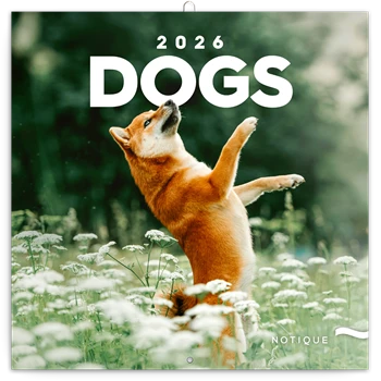 Falinaptár képes lemeznaptár 300x300mm, Dogs Realsystem 2026.