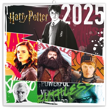 Falinaptár képes lemeznaptár 300x300mm, Harry Potter Realsystem 2025.