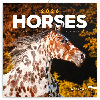 Falinaptár képes lemeznaptár 300x300mm, Horses – Christiane Slawik Realsystem 2026.