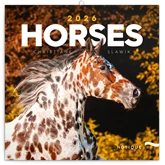 Falinaptár képes lemeznaptár 300x300mm, Horses – Christiane Slawik Realsystem 2026.