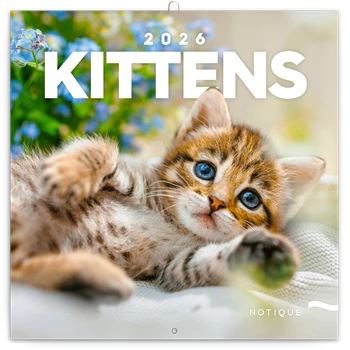 Falinaptár képes lemeznaptár 300x300mm, Kittens Realsystem 2026.