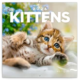 Falinaptár képes lemeznaptár 300x300mm, Kittens Realsystem 2026.