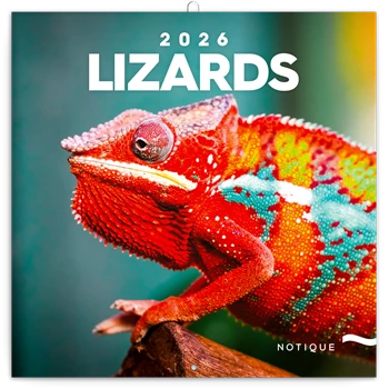 Falinaptár képes lemeznaptár 300x300mm, Lizards Realsystem 2026.