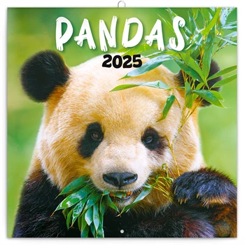 Falinaptár képes lemeznaptár 300x300mm, Pandas Realsystem 2025.