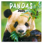 Falinaptár képes lemeznaptár 300x300mm, Pandas Realsystem 2025.