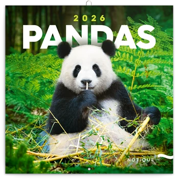 Falinaptár képes lemeznaptár 300x300mm, Pandas Realsystem 2026.