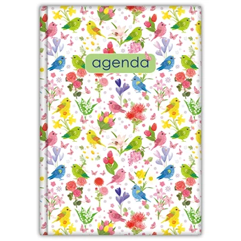 Határidőnapló Colors A5 heti, fehér lapokkal Nature zöld Dayliner 2026.