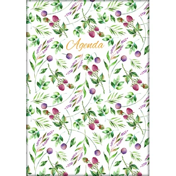 Határidőnapló Colors A5 napi, fehér lapokkal Berries Dayliner 2026.