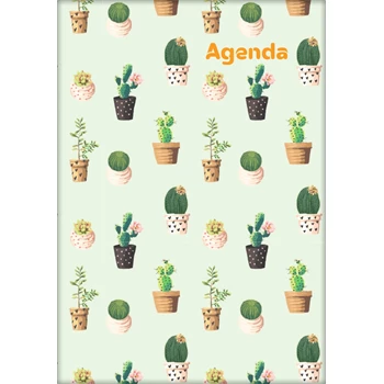 Határidőnapló Colors A5 napi, fehér lapokkal Cactus Dayliner 2026.