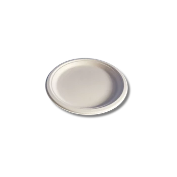 Papírtányér 25,4cm komposztálható cukornád 125 db/csomag natúr